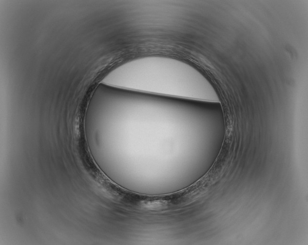 X0000110960452200906191053