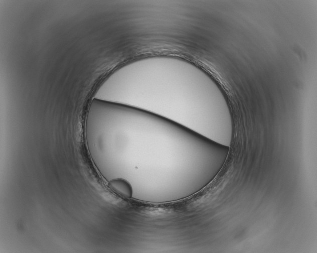 X0000110960453200906191053