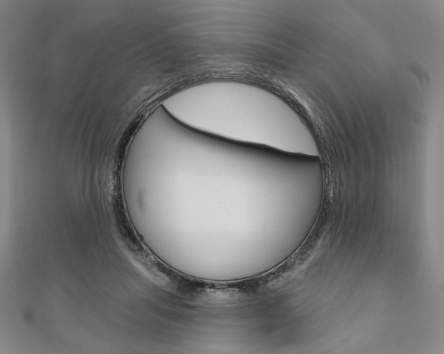 X0000110960455200906191053