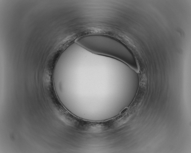 X0000110960456200906191053