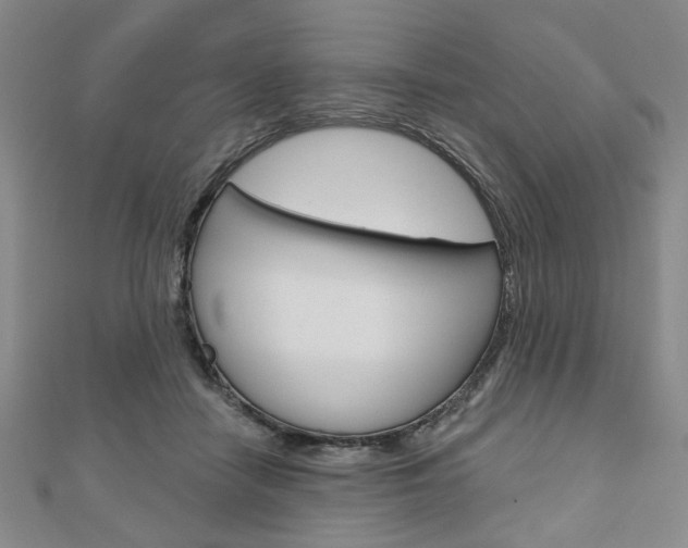 X0000110960458200906191053