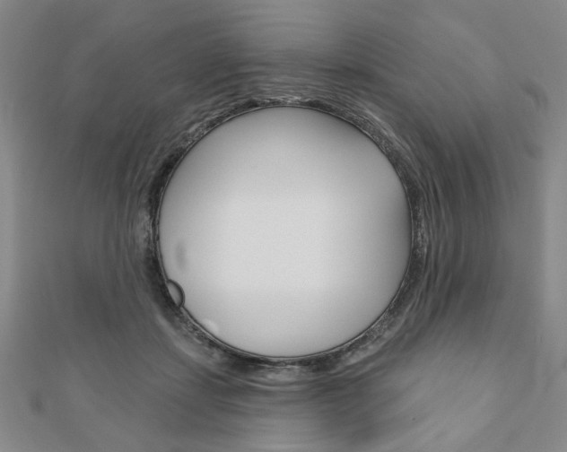 X0000110960459200906191053