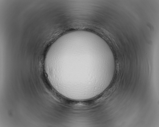 X0000110960460200906191053