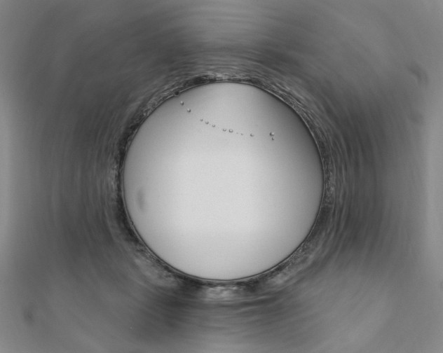 X0000110960461200906191053