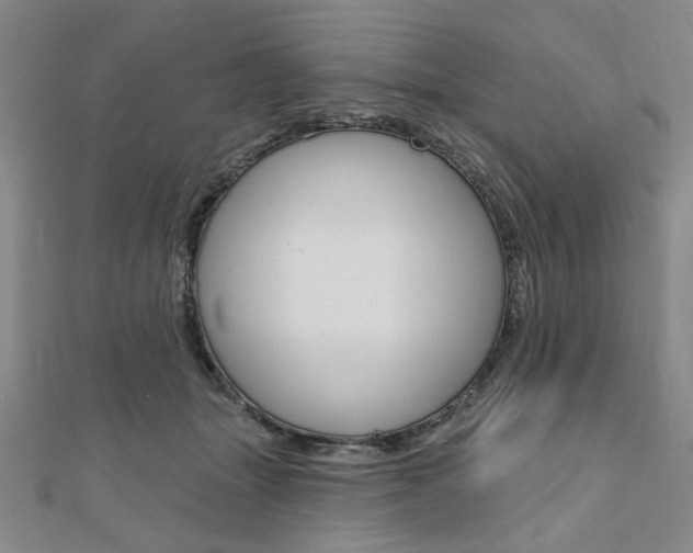 X0000110960463200906191053