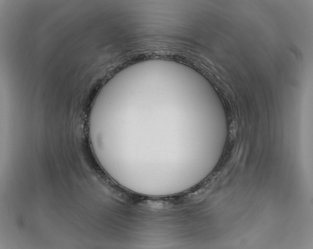 X0000110960464200906191053