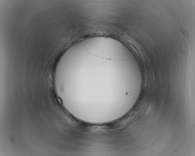 X0000110960465200906191053