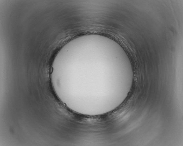 X0000110960466200906191053