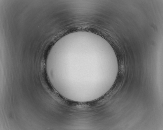 X0000110960468200906191053