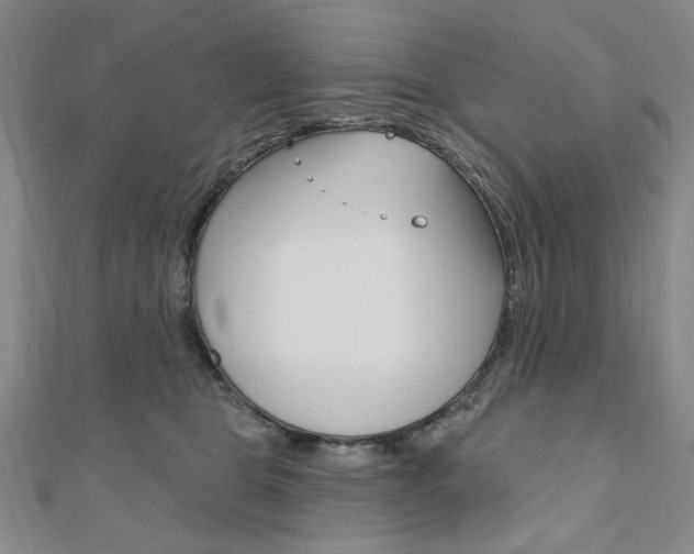 X0000110960469200906191053