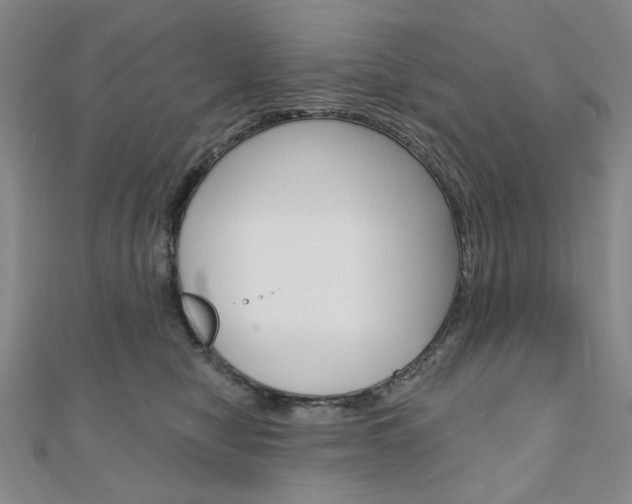 X0000110960470200906191053