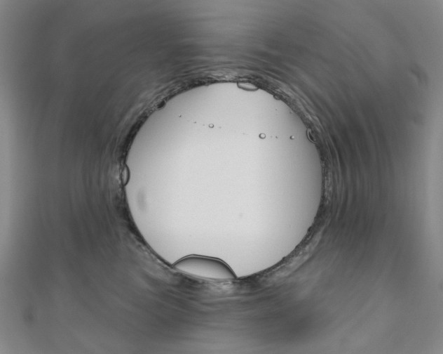 X0000110960473200906191053