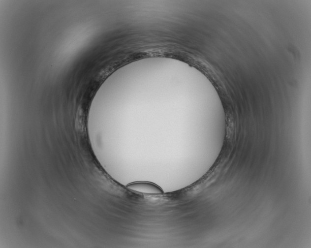 X0000110960477200906191053