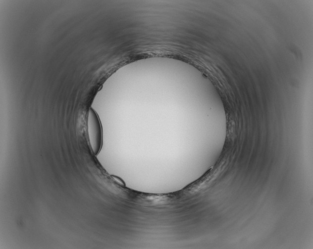 X0000110960478200906191053