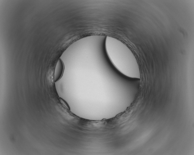 X0000110960479200906191053