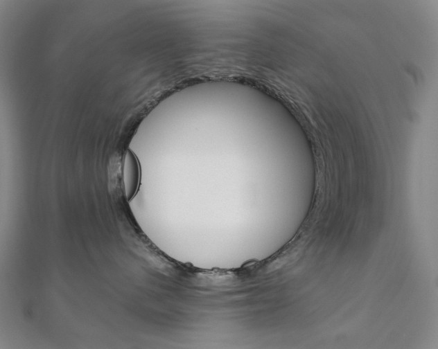 X0000110960480200906191053