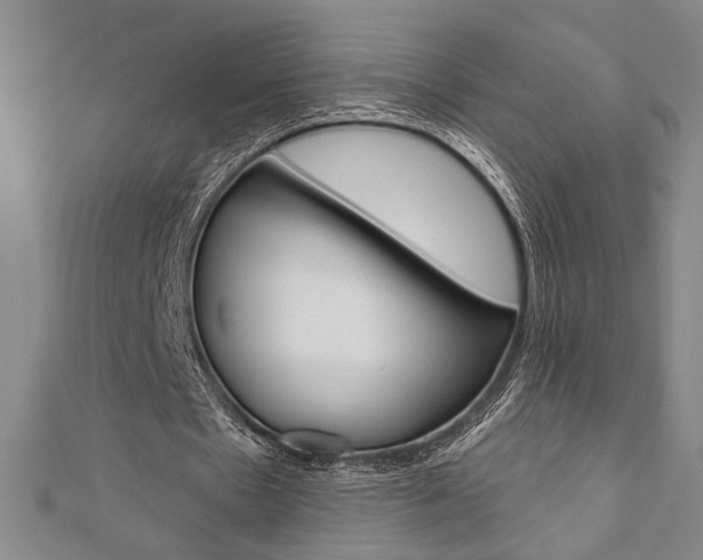 X0000110960481200906191053