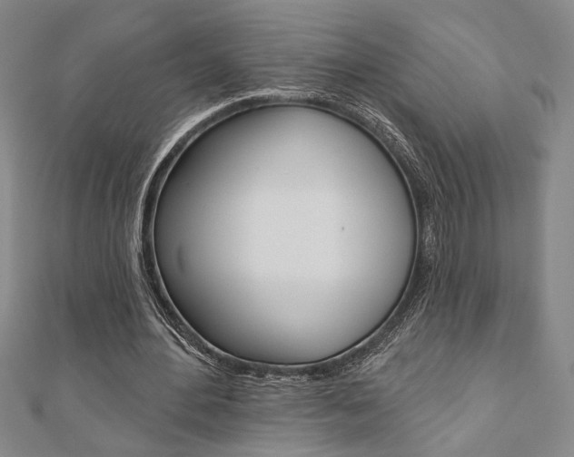 X0000110960484200906191053