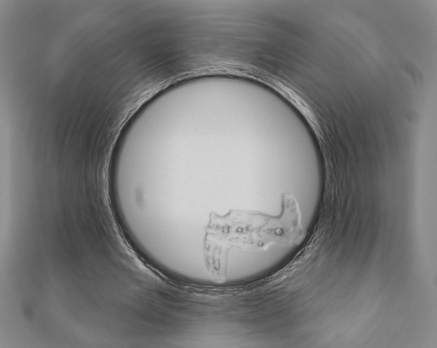 X0000110960485200906191053