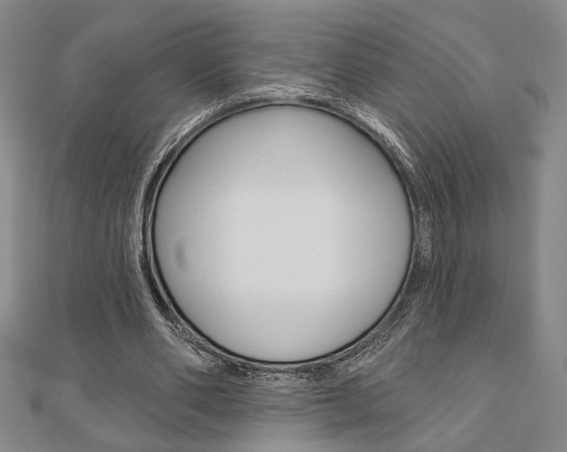 X0000110960486200906191052