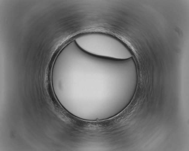 X0000110960487200906191052