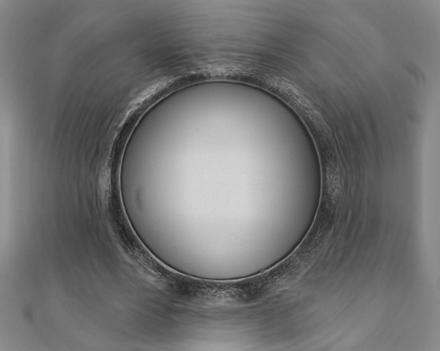X0000110960488200906191052