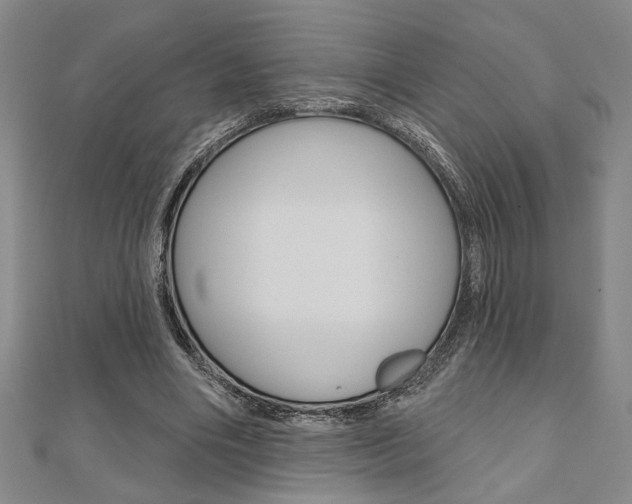 X0000110960490200906191052