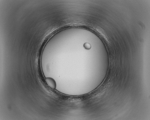 X0000110960491200906191052