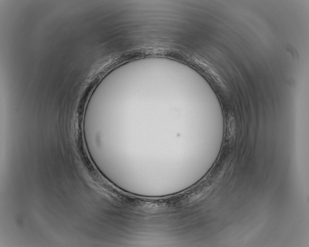 X0000110960494200906191052