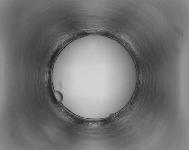 X0000110960495200906191052