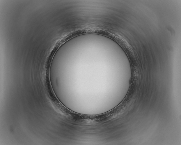 X0000110960496200906191052