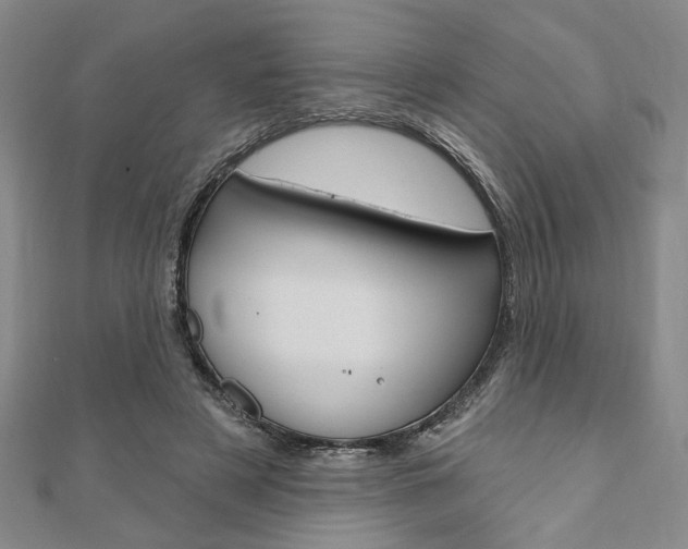 X0000110960497200906191052