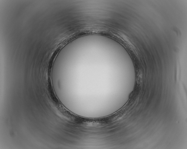 X0000110960500200906191052