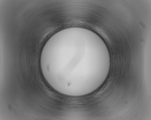 X0000110960501200906191052