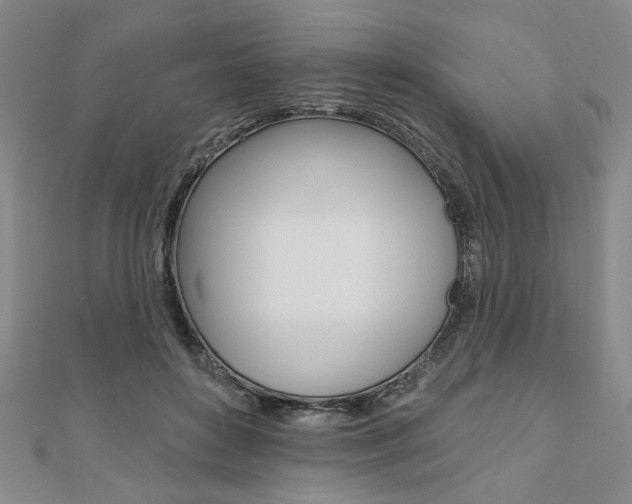 X0000110960504200906191052