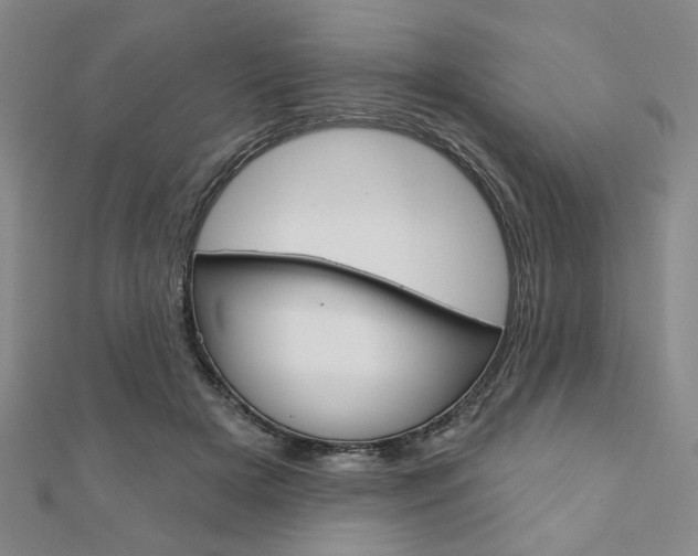 X0000110960505200906191052