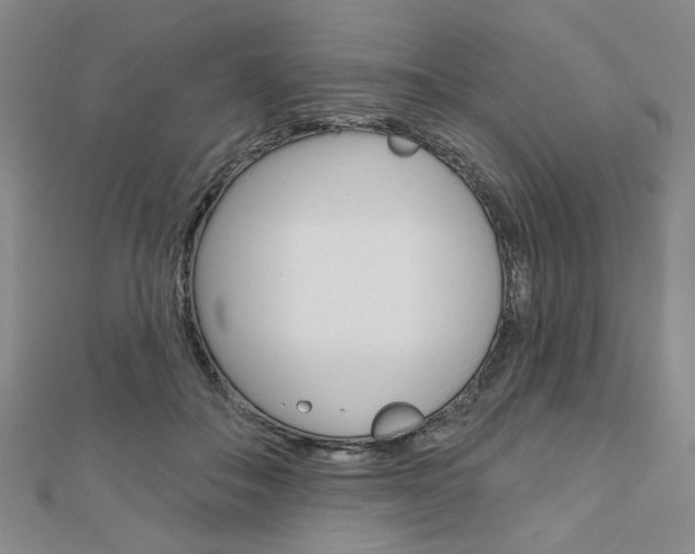 X0000110960506200906191052