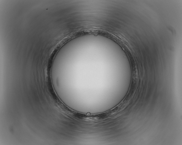 X0000110960508200906191052