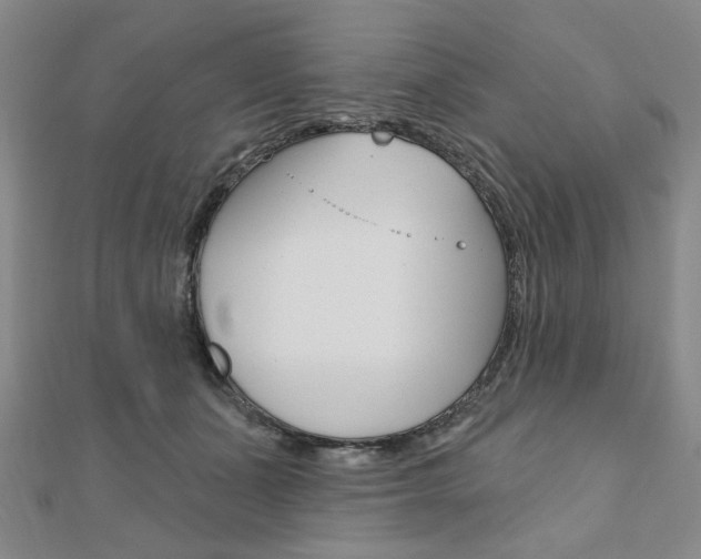 X0000110960511200906191052