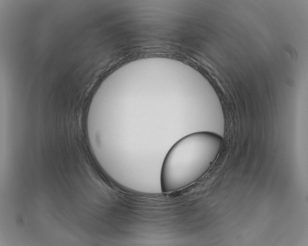 X0000110960512200906191052