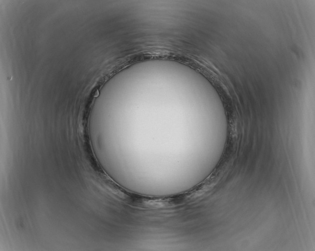 X0000110960516200906191052