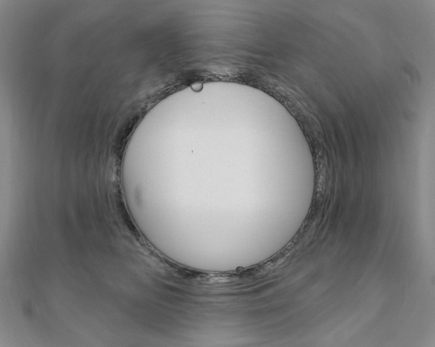 X0000110960518200906191052