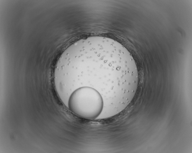 X0000110960519200906191052