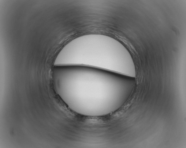 X0000110960521200906191052