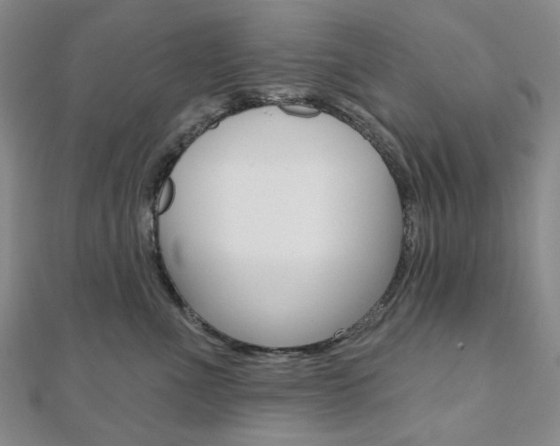 X0000110960523200906191052