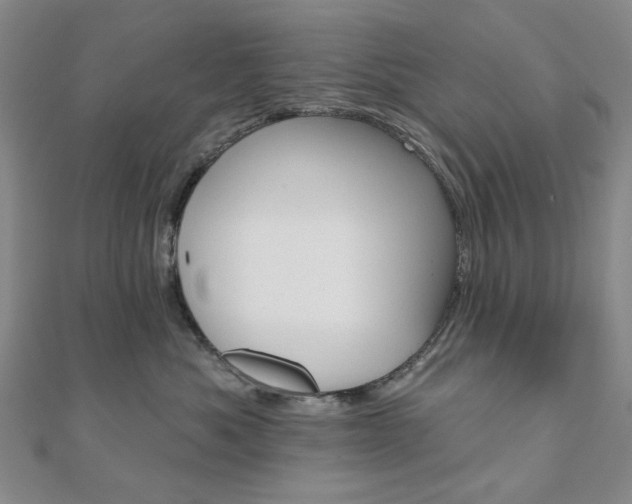 X0000110960525200906191052