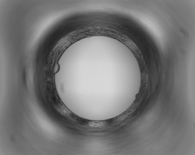 X0000110960526200906191052