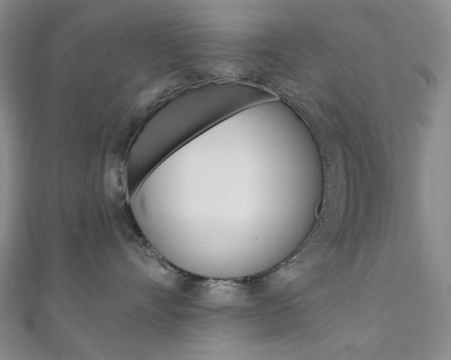 X0000110960528200906191052