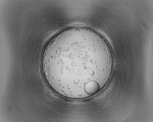X0000110960529200906191051