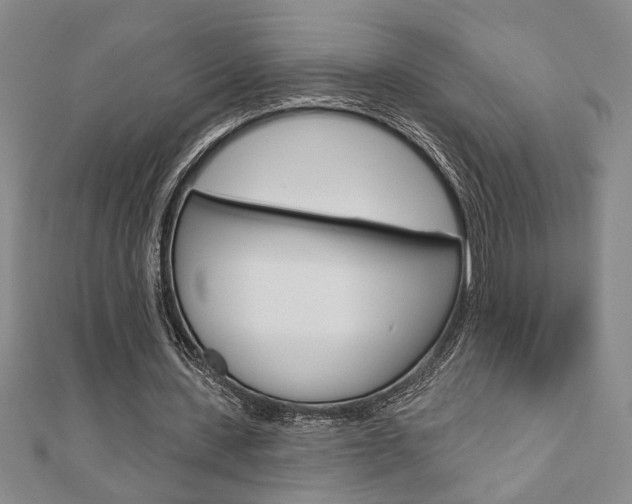 X0000110960531200906191051